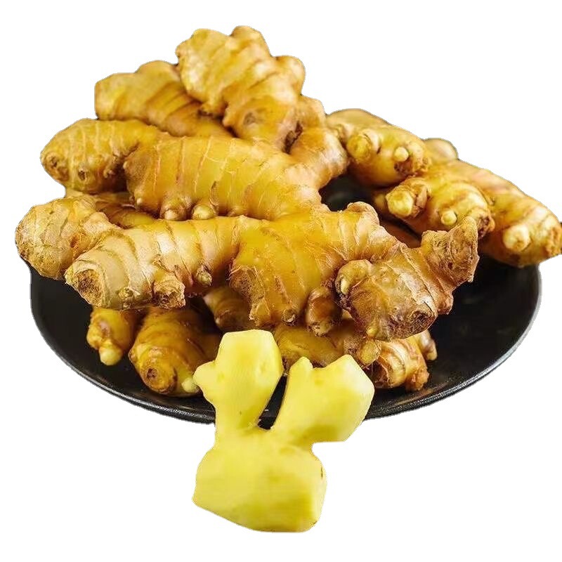 Yunnan Small Turmeric 5kg One Piece of Ginger Sand Ginger Fresh Ginger Tender Ginger Sprouts Fresh Dried Ginger Wholesale 2.5kg
