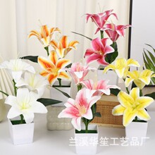 XT�羳����ˮ�������O�����������ָ�ˮ�ɰٺϼҾӔ[���Gֲ�辰