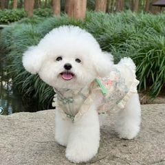 ペットの猫の犬の春夏の新しい中国式のチャイナドレスの袖なしの盤は国風のスカートの馬の西施犬の服の薄い金を掛けます。