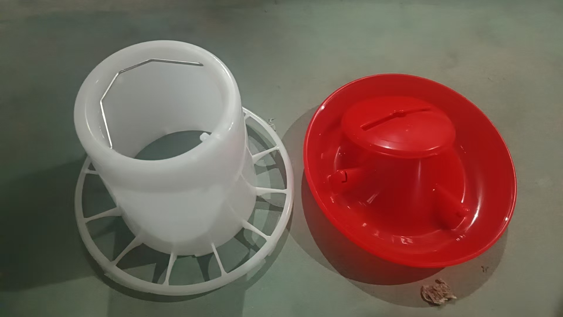 Alimentador de aves de corral, cubo, alimentador de pollo, pollo, pato, ganso, alimentador automático de aves de corral, barril de pollo, barril de pollo