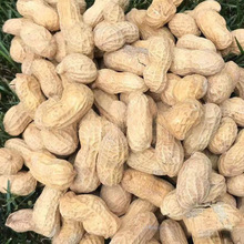 �uζ���Ҷ�ζ���������l��؛��ζ��Թ���ʳ�����׽�����������