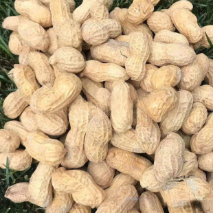 �uζ���Ҷ�ζ���������l��؛��ζ��Թ���ʳ�����׽�����������