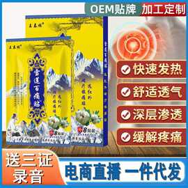 王泰林源头厂家雪莲百痛贴跨境爆品会销旅销展会跑江湖膏药贴批发