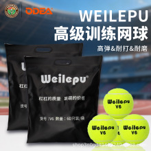 Odear欧帝尔网球 V6 网球 专业无压训练网球 高弹耐打网球训练球