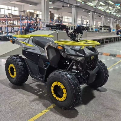 Shangye 125Cc All-Terrain Motorcycle, Zongshen Engine Four-Wheel Off-Road Atv, Electric Vehicle, Snowmobile