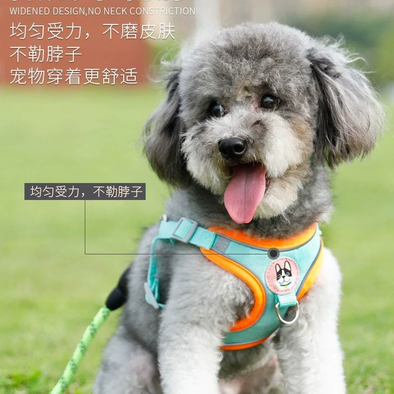 Vest Type Dog Leash Small Size Dogs Teddy Bichon Pomeranian Puppy Harness Pet Dog Chain Dog Walking Leash