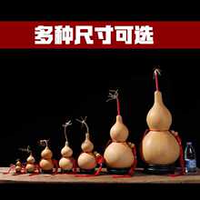 ◇产地聊城供应天然真葫芦特大中小文玩手捻葫芦挂件摆件文玩带龙