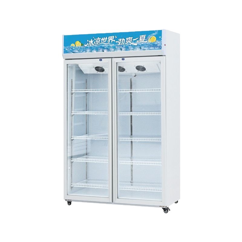 Gabinete de exhibición refrigerador refrigerador refrigerador supermercado refrigerador comercial refrigerador de una sola puerta doble puerta vertical refrigerador de refrigeración de bebidas de cerveza