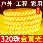 220v户外灯带led超亮防水灯客厅屋檐外墙专用灯条工程室外暖光灯
