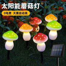 ̫���Ģ���������ˮ���@ͥԺ�b���ƺ�����^���ز���Շ���