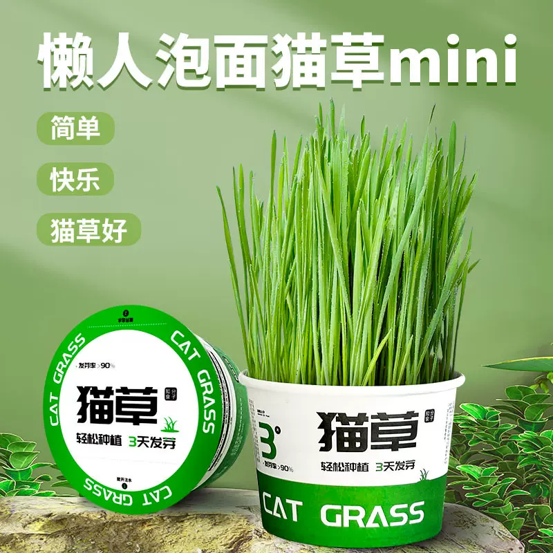 懒人猫草罐头宠物猫草水培无土去毛球助消化零食泡面猫草盆栽
