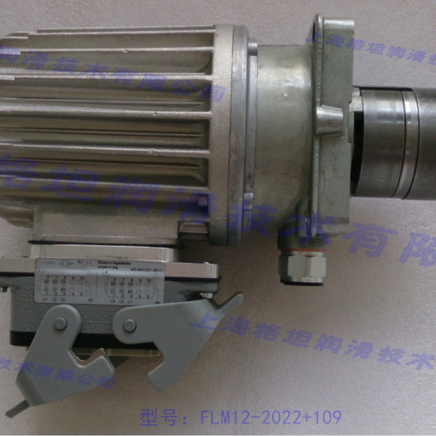 SKF官方授权 VOGEL /褔鸟/FLM12-2022+109电动齿轮稀油润滑泵