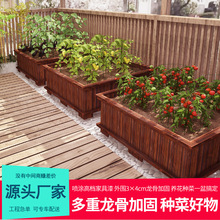 ����ľ�������ͥԺ�̨�N�ˌ�����̼����ľ�����L���δ�̖�Nֲ��