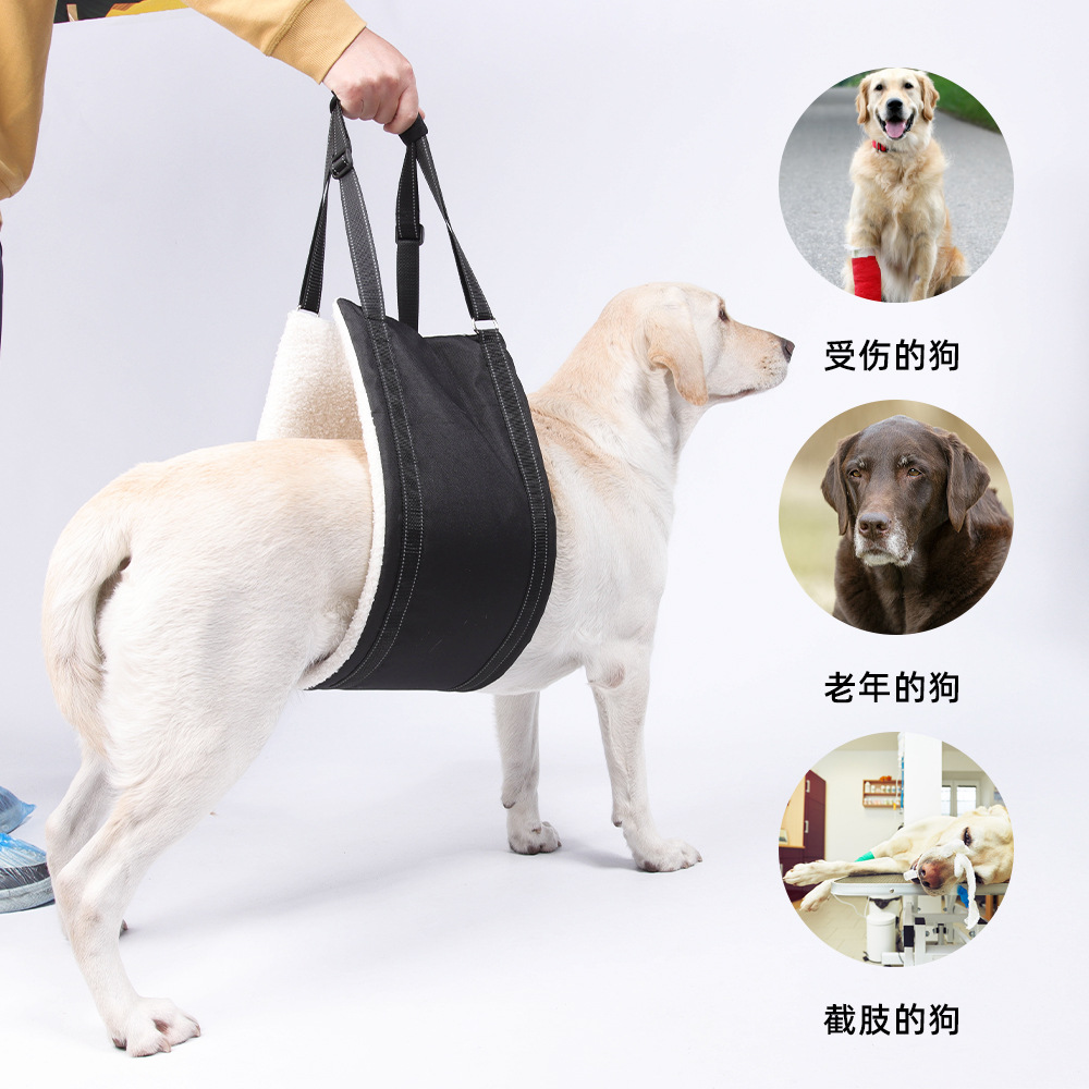 Amazon explosiva ayuda para mascotas con correa de viaje al aire libre para perros mayores correas de pecho de rehabilitación para perros discapacitados al por mayor
