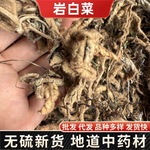 Herbals岩白菜草药 中药材批发 岩壁菜 石白菜 红岩七草药批发代