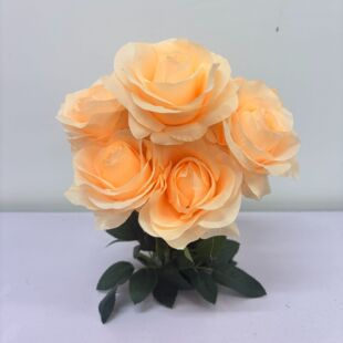9�^�Aö������ ����õ������ ��Y���յ��� �Ҿ��b�ˇ�[��