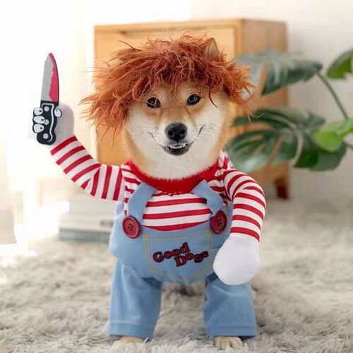 Fatal doll pet funny spoof dog with knife clothes cat dog funny creative cat with knife creative