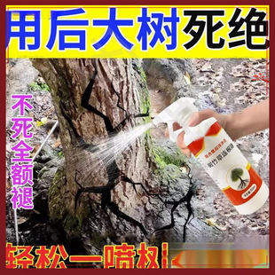 Yy01 Rotten Tree Root Medicine to Stop Big Tree Rotting Roots and Decay Agent for Big Trees and Bamboo to Remove Trees with One Drop of Death Default Dinglei