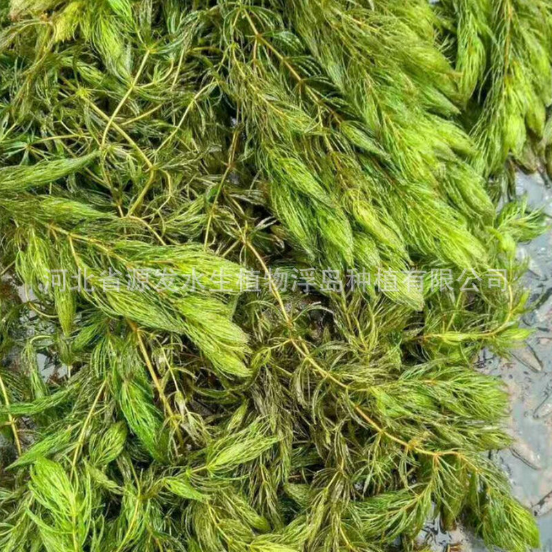 mmexport1568163333635