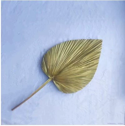 Детская оконная декоративная композиция из белой тростника и высушенных цветов, насосные лезвия, свадебные сцены, декоративная стена из сухих цветов, подсолнухи, листья пальмы
