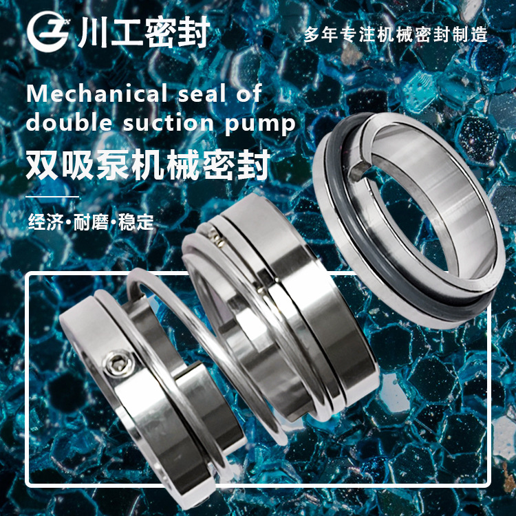 水封设备密封轴封 150S-50\150SS75A 常见密封类型机械密封