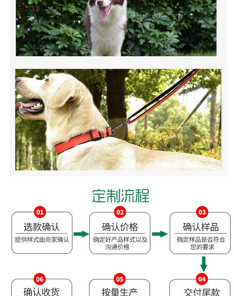 狗绳_12.jpg