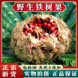 Ұɽ�F���500������F������F�仨�F������F�仨�ƻ���؛��؛