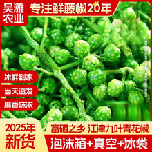 青花椒新鲜四川特产350g鲜藤椒重庆江津现摘保鲜麻椒真空鲜花椒