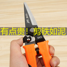 �FƤ���������I���๦�܌���늹����X�۰����Ǻ��ռ��ɵ�픏���