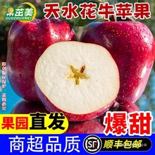 顺丰包邮】花牛苹果粉面蛇果甘肃红苹果可刮泥辅食黑卡苹果直摘