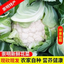 Ϻػ˕rl˻ʽЇɢbȫ곣