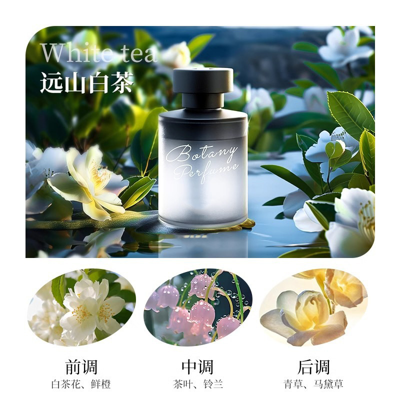 Aceite esencial aromático para interiores perfumes duraderos de alta calidad para inodoro armario para habitaciones para dormitorios refrescantes de aire