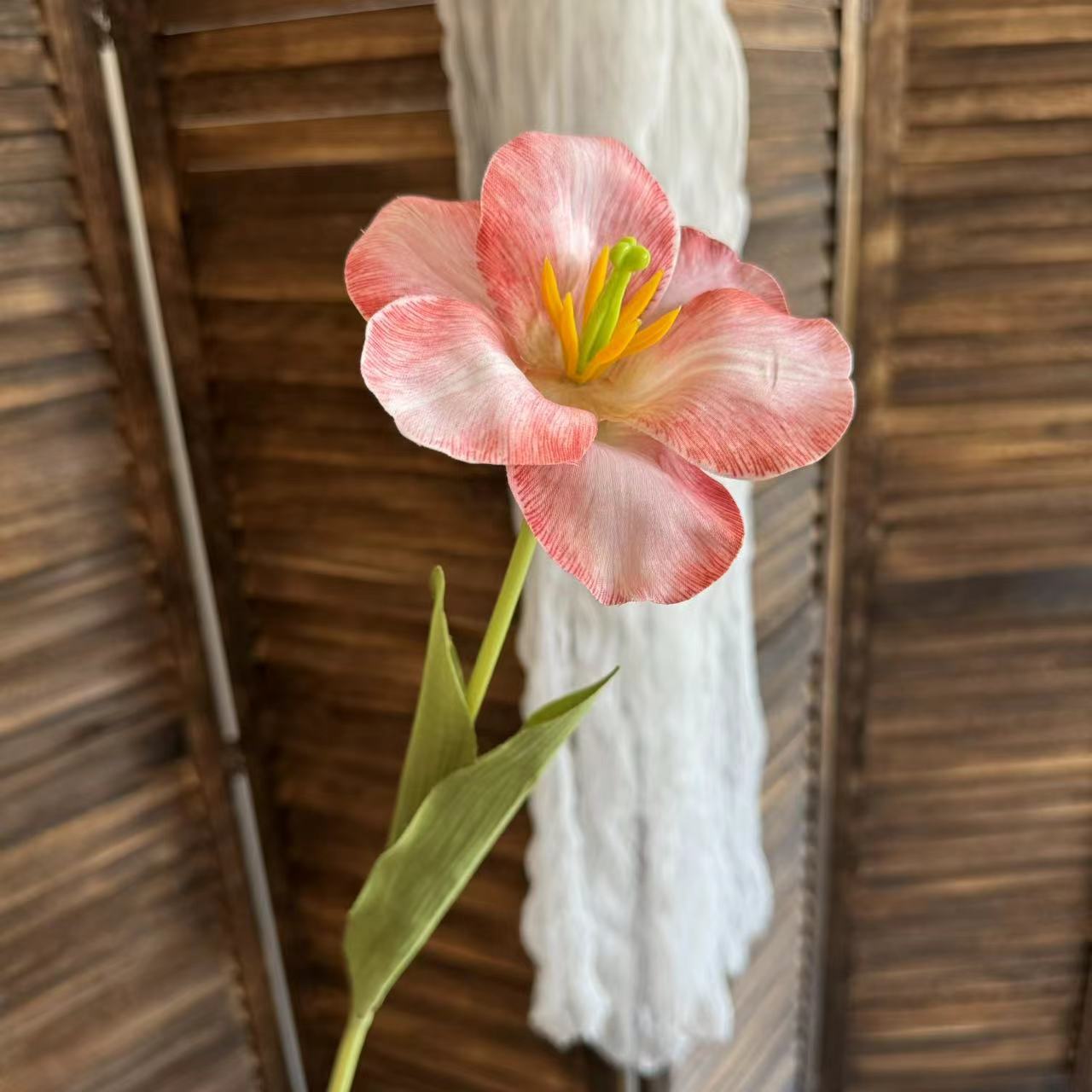 오렌지 다크 브라운