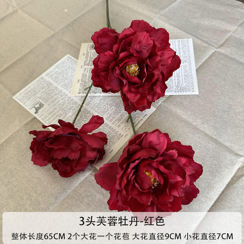 레드