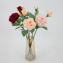 ����õ�廨��֧���^�ָ�õ���Y���滨�͏d�[���Ĕz�ٻ��������l