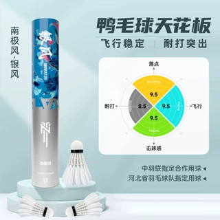 南极风银风羽毛球专业比赛训练球飞行稳定耐打耐用正品高弹力精准