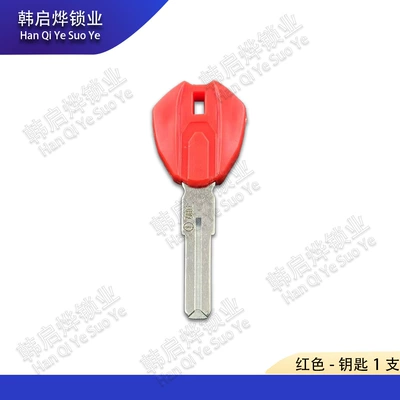 Can Be Used with Chip – Motorcycle Key