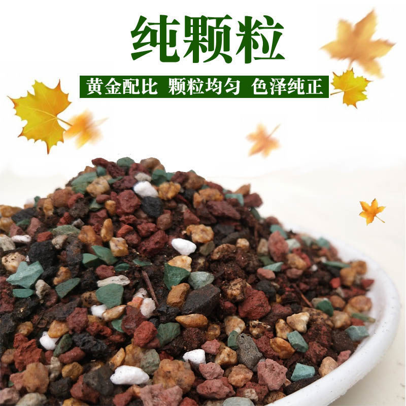 62c249d6-1ff9-4fe9-8917-fc29fea110d1.jpe