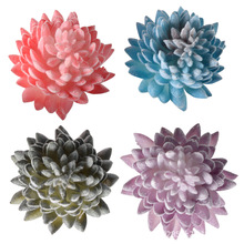 ��ึ��Ʒ������ֲ�qֲ���ɹ�����ɏ �Ҿ��b[�������辰����