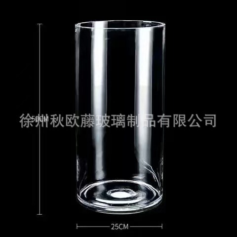 大号透明直筒玻璃花瓶批发客厅落地富贵竹鲜花水培花器摆件ins风|undefined