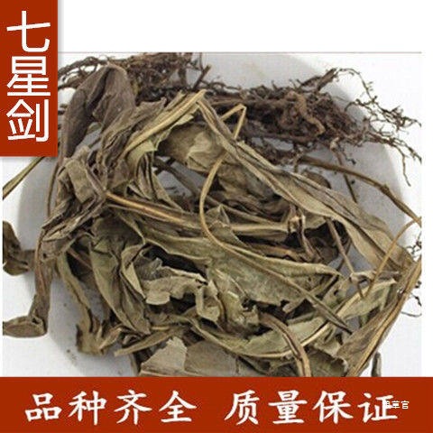 七星剑 金桃叶 瓦韦 七叶星 七星草 包邮真货好货
