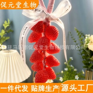 ��ݮ�������ֹ����������ͶY�W�t������ֱ���xƷ�������ֶY