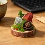 水晶微景观永生苔藓摆件原木底座天然水晶装饰水晶原石水晶簇摆件