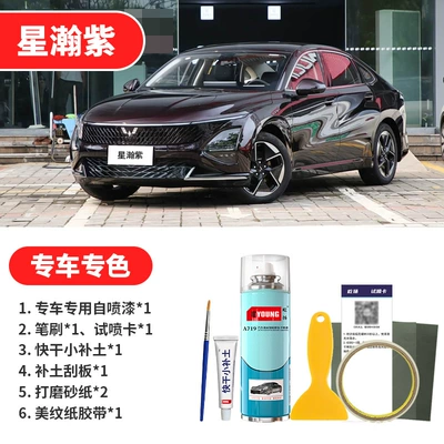 Avtomobil boya qələmləri – Self-Spray Paint - starlight-purple-emergency-repair