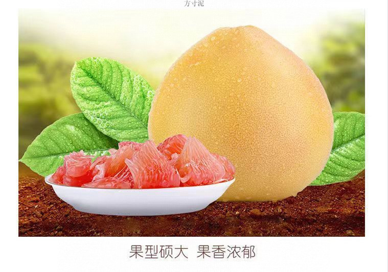 aa89e0d2-02d6-4d34-a4b2-e6e5b4c20004.jpe