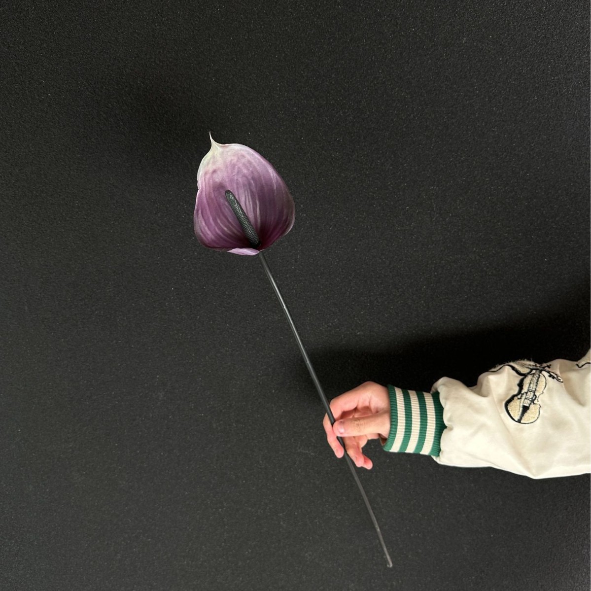 Palma de color de toque morado