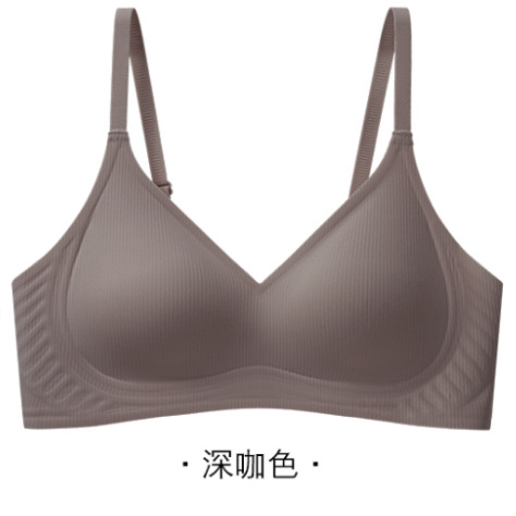 Venta directa de fábrica comercio electrónico transfronterizo Sudeste de Asia Vietnam Tailandia damas soporte superior simple sin costuras colección lateral sujetador