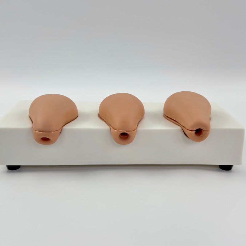 �߼��˹�����ģ���ӹ�ģ�� 3��ģ���ӹ����� ������ѵ���̾�FT33A