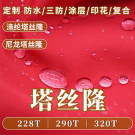 228T290T320T涤纶尼龙起皱防水塔丝隆面料冲锋衣羽绒服服装布料