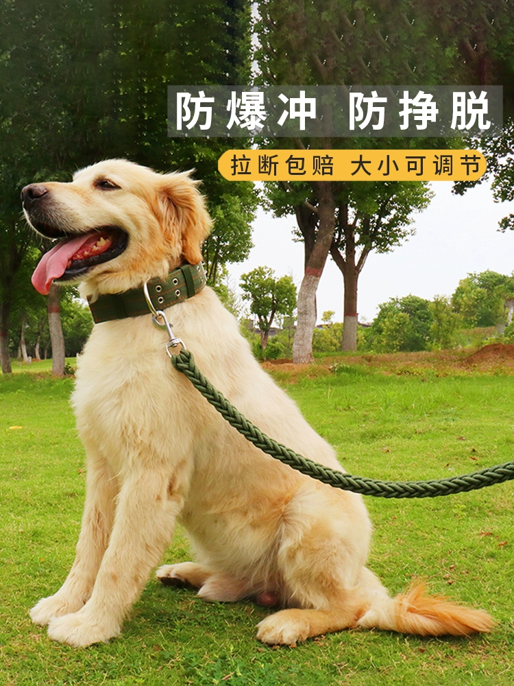 Поводок для собак, ошейник для средних и крупных собак, ошейник для золотистого ретривера Тедди, цепочка для собак, шлейка в стиле жилета, поводок для выгула собак